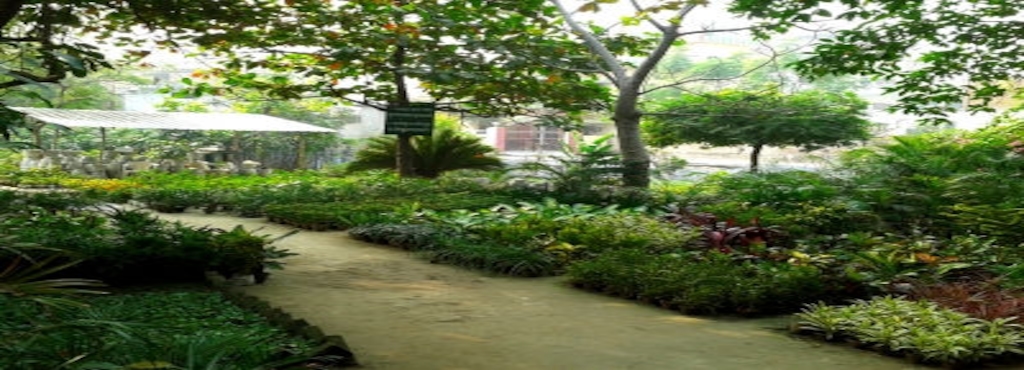 Green Garden Nursery Plant Nurseries In Ghazipur Justdial Green Garden Nursery