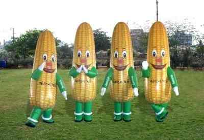 Crazy Fun Inflatables Hyderabad Crazy Fun Inflatables Hyderabad