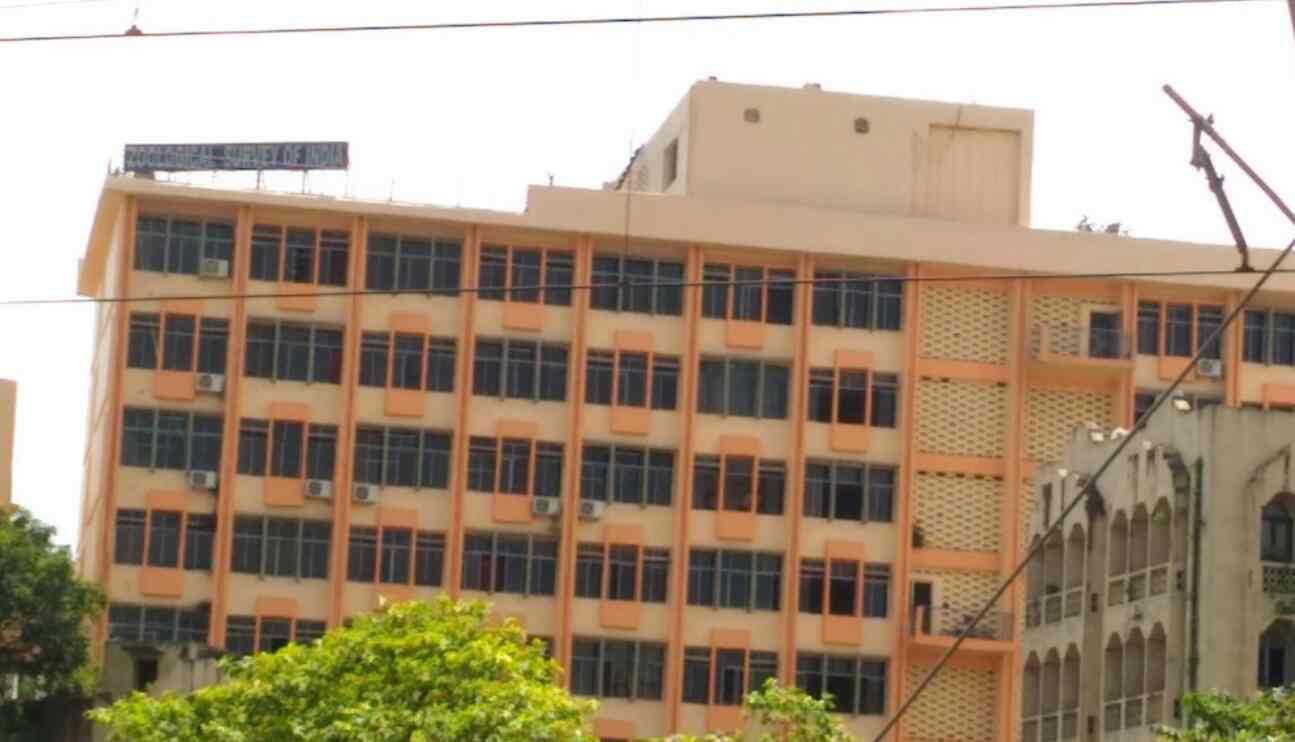 Zoological Survey Of India New Alipur Government Organisations In - zoological survey of india new alipur government organisations in kolkata justdial