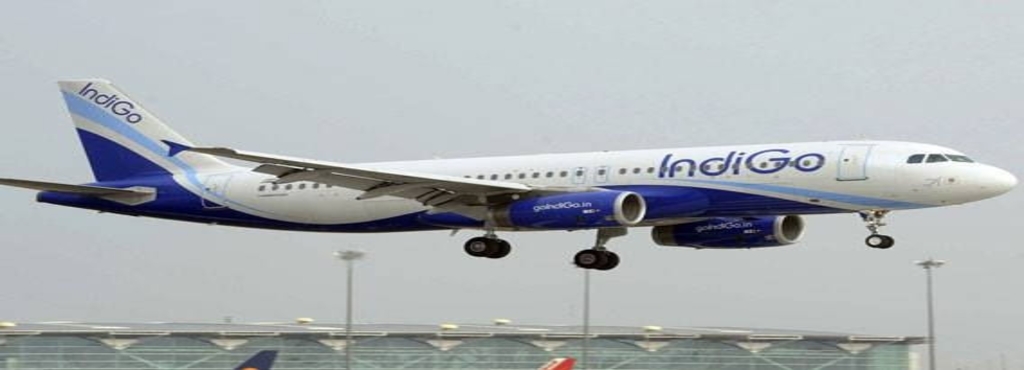 indigo airlines login