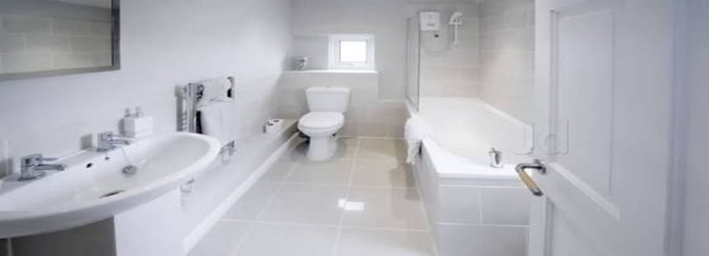 Mayur House And Bathroom Cleaning Services Dandekar Bridge Water